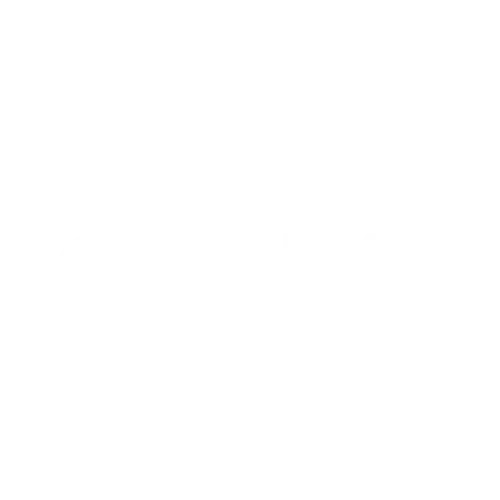 Greyskull Partner logo Prohuman