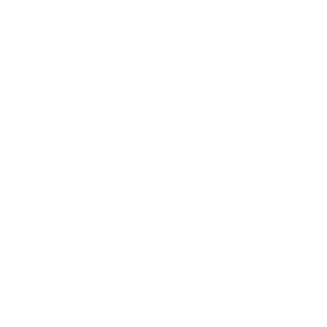 Greyskull Partner logo Hr-rent