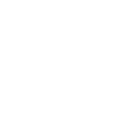 Greyskull-bulb